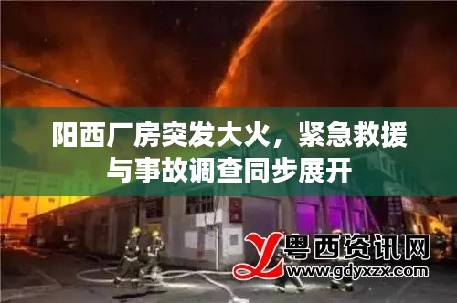 阳西厂房突发大火，紧急救援与事故调查同步展开