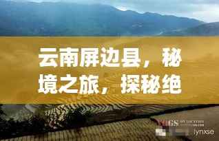 云南屏边县,秘境之旅,探秘绝美风光与民俗文化攻略!