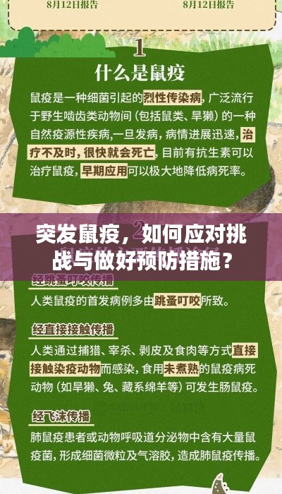 突发鼠疫，如何应对挑战与做好预防措施？