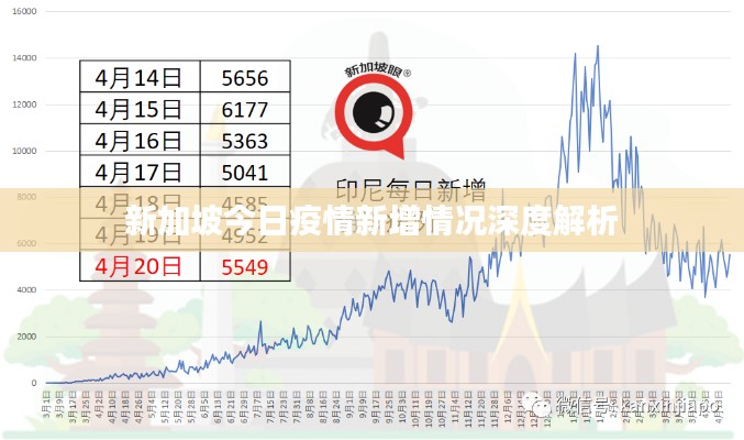 新加坡今日疫情新增情况深度解析