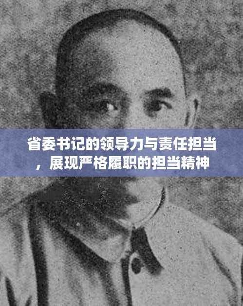 省委书记的领导力与责任担当,展现严格履职的担当精神