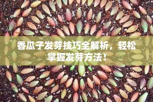 香瓜子发芽技巧全解析，轻松掌握发芽方法！