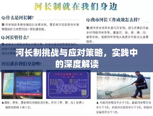 河长制挑战与应对策略，实践中的深度解读