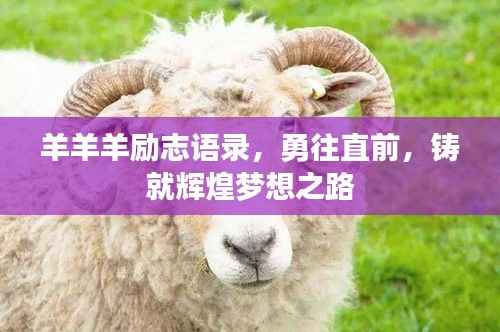 羊羊羊励志语录,勇往直前,铸就辉煌梦想之路