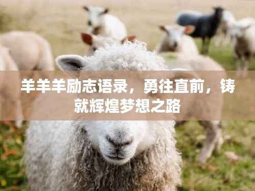 羊羊羊励志语录,勇往直前,铸就辉煌梦想之路