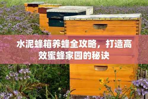 水泥蜂箱养蜂全攻略，打造高效蜜蜂家园的秘诀