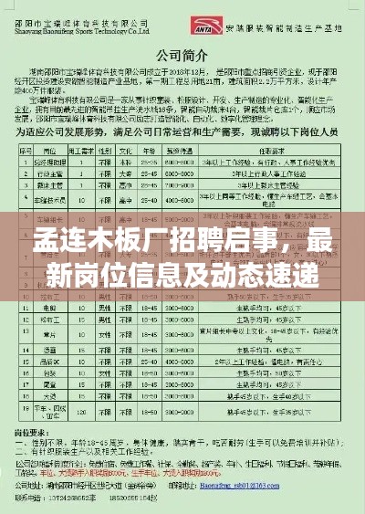 孟连木板厂招聘启事，最新岗位信息及动态速递