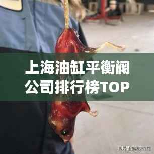 上海油缸平衡阀公司排行榜TOP排名揭晓