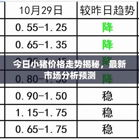 今日小猪价格走势揭秘，最新市场分析预测
