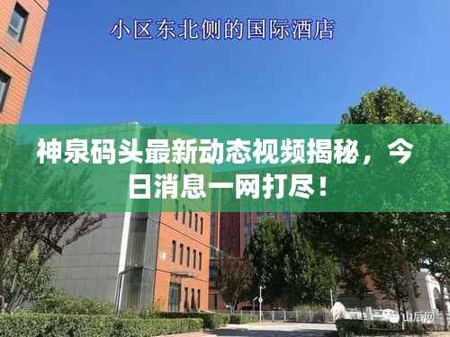 灰飞湮灭 第4页