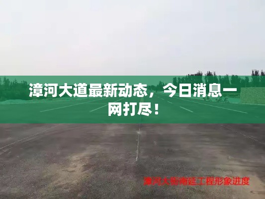 漳河大道最新动态，今日消息一网打尽！