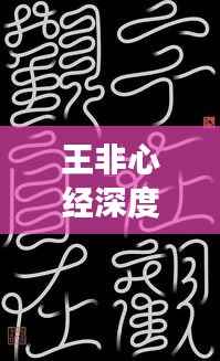 王非心经深度解读,带你探索百度收录的奥秘!