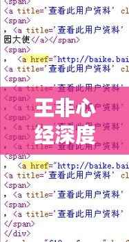 王非心经深度解读,带你探索百度收录的奥秘!