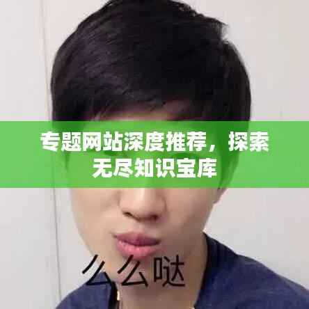 专题网站深度推荐，探索无尽知识宝库