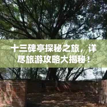 十三碑亭探秘之旅，详尽旅游攻略大揭秘！