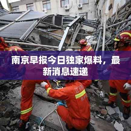 飞黄腾达 第3页