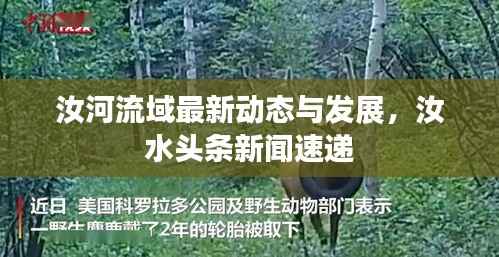 汝河流域最新动态与发展，汝水头条新闻速递