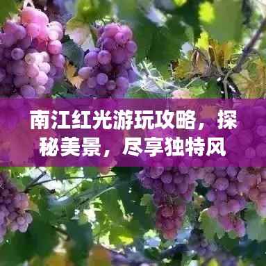 南江红光游玩攻略，探秘美景，尽享独特风情！