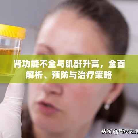 肾功能不全与肌酐升高，全面解析、预防与治疗策略