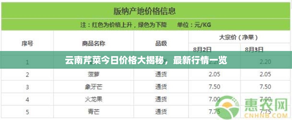 云南芹菜今日价格大揭秘，最新行情一览