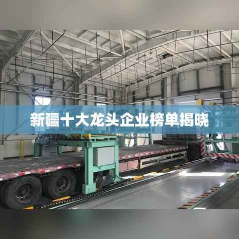 新疆十大龙头企业榜单揭晓