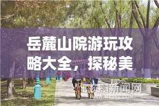 岳麓山院游玩攻略大全，探秘美景，尽享惬意时光！