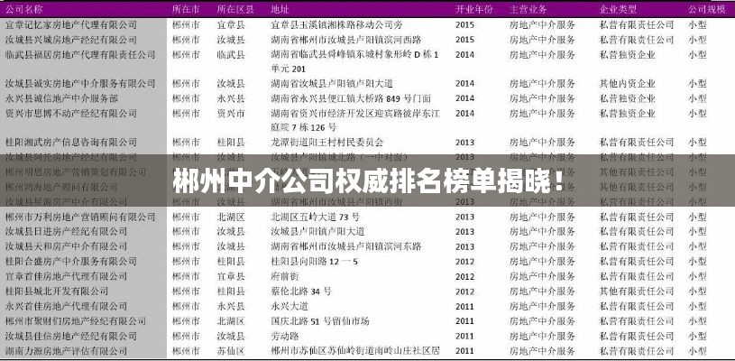 郴州中介公司权威排名榜单揭晓！
