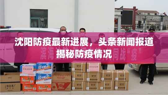 沈阳防疫最新进展，头条新闻报道揭秘防疫情况
