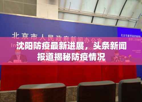 沈阳防疫最新进展,头条新闻报道揭秘防疫情况