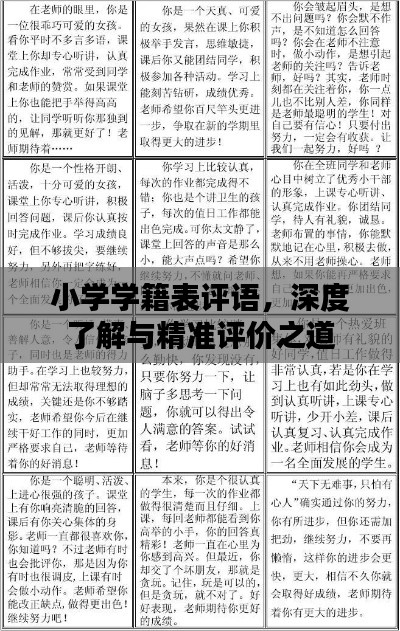小学学籍表评语，深度了解与精准评价之道