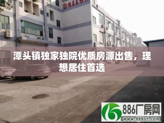 潭头镇独家独院优质房源出售，理想居住首选