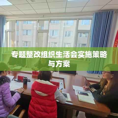 专题整改组织生活会实施策略与方案