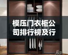 模压门衣柜公司排行榜及行业深度分析