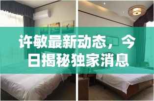 许敏最新动态，今日揭秘独家消息！