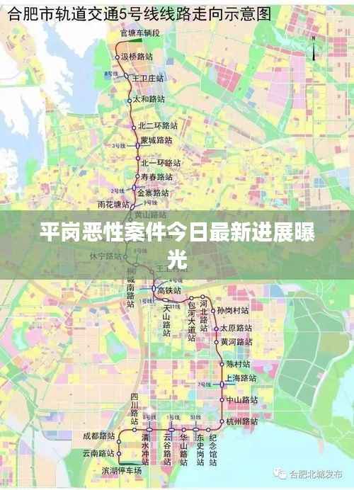 平岗恶性案件今日最新进展曝光