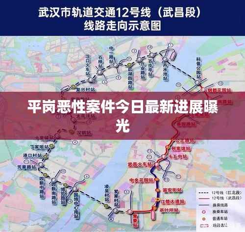 平岗恶性案件今日最新进展曝光