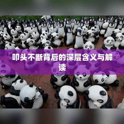 叩头不断背后的深层含义与解读