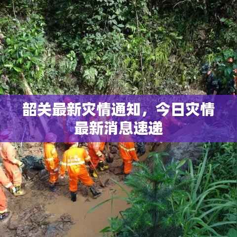 韶关最新灾情通知，今日灾情最新消息速递