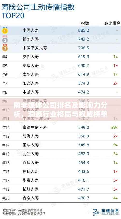 南非媒体公司排名及影响力分析,洞悉行业格局与权威榜单