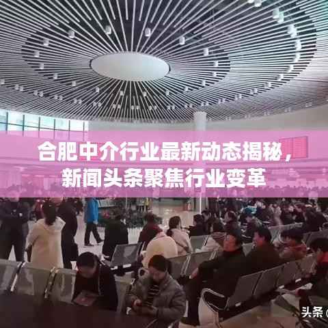 合肥中介行业最新动态揭秘，新闻头条聚焦行业变革