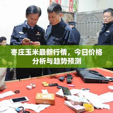 枣庄玉米最新行情，今日价格分析与趋势预测