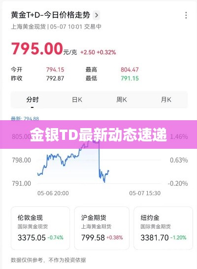 金银TD最新动态速递