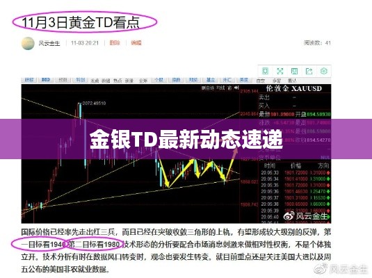 金银TD最新动态速递