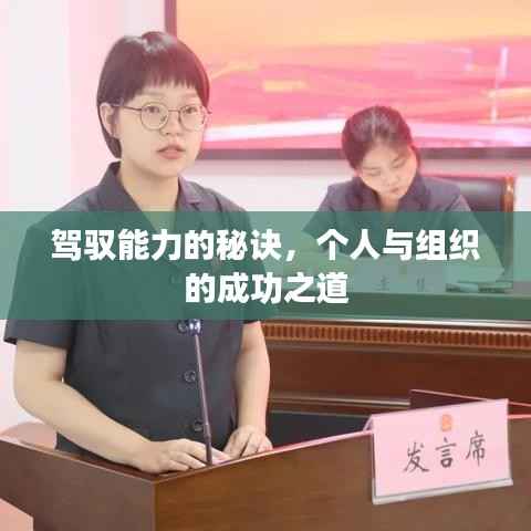 驾驭能力的秘诀，个人与组织的成功之道