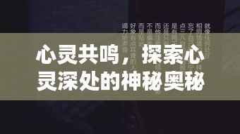 心灵共鸣，探索心灵深处的神秘奥秘