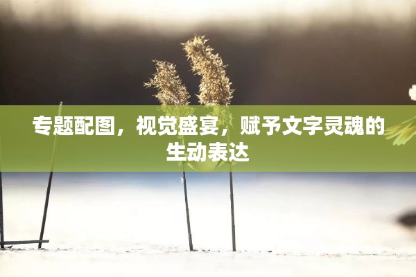 专题配图，视觉盛宴，赋予文字灵魂的生动表达