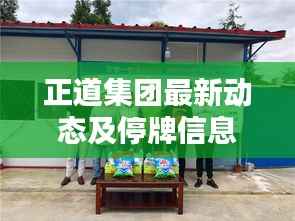 正道集团最新动态及停牌信息解析