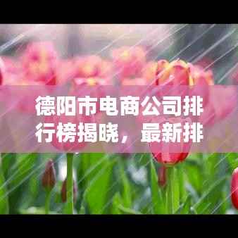 德阳市电商公司排行榜揭晓，最新排名，优质企业一网打尽！