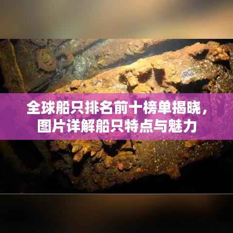 全球船只排名前十榜单揭晓，图片详解船只特点与魅力