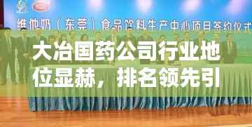 大冶国药公司行业地位显赫,排名领先引关注